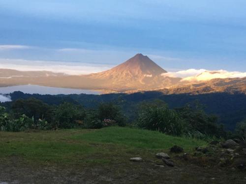 boutique hotels in Alajuela
