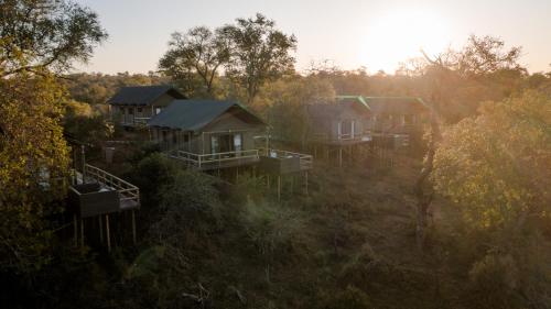 boutique hotels in Sabi Sand Game Reserve
