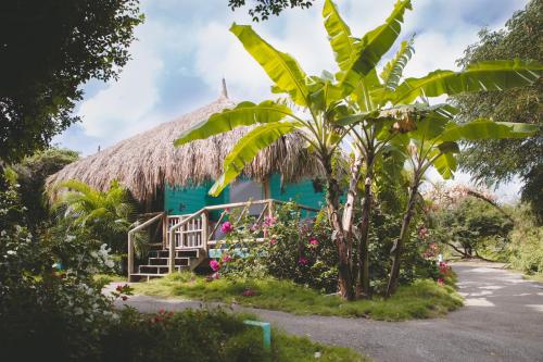 boutique hotels in Curaçao