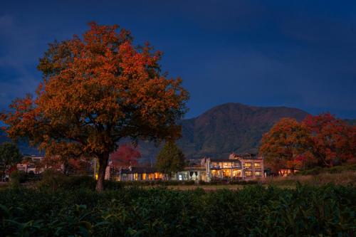 boutique hotels in Yi