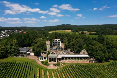 boutique hotels in Rhine District