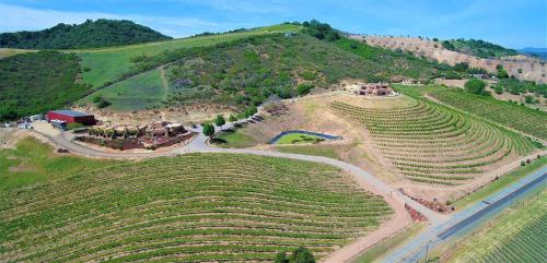 boutique hotels in Paso Robles Wine Country