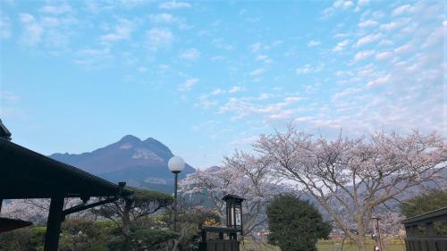 boutique hotels in Yufu