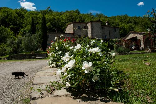 boutique hotels in Arezzo