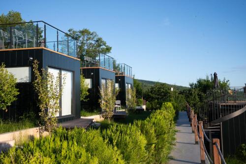 boutique hotels in Telavi