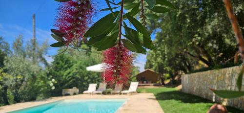 boutique hotels in Tomar