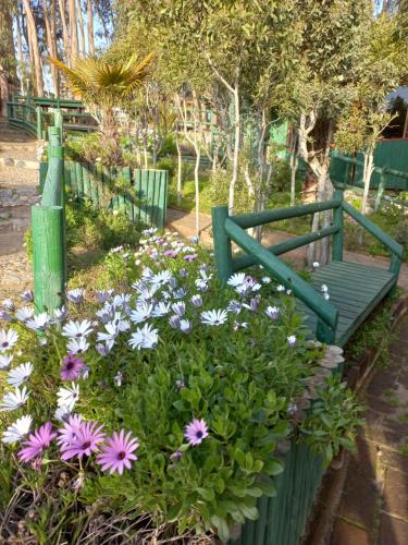 boutique hotels in Casablanca