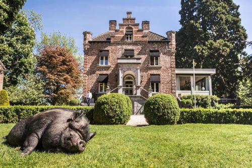 boutique hotels in Pieterpad