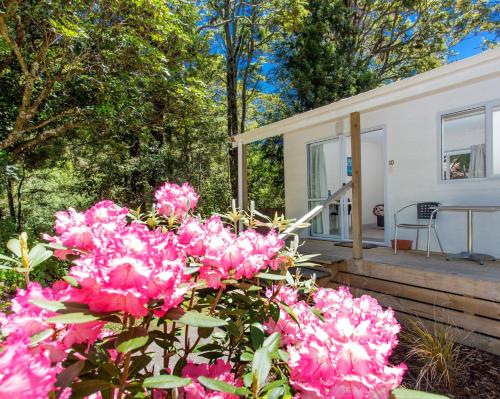 boutique hotels in Mount Ruapehu Ski Area