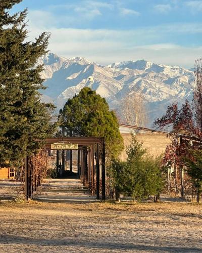 boutique hotels in Uco Valley