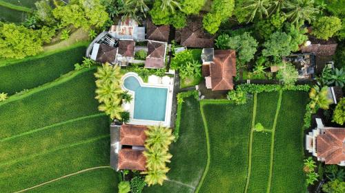 boutique hotels in Munduk