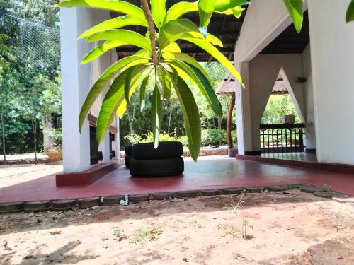 boutique hotels in Tissamaharama
