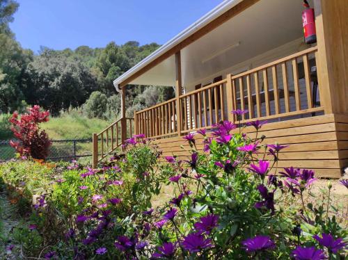 boutique hotels in Calella