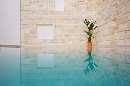 boutique hotels in Can Picafort