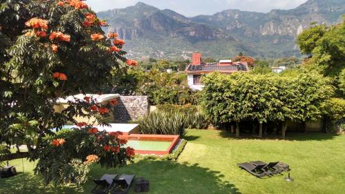 boutique hotels in Morelos