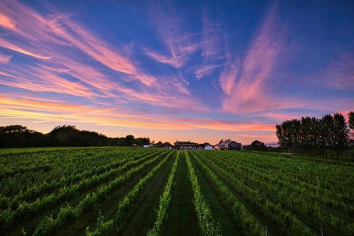 boutique hotels in South Wales