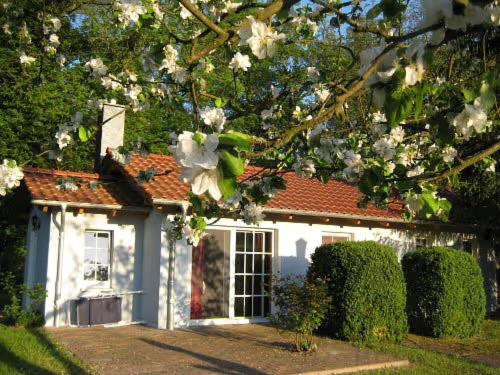 boutique hotels in Kremmen