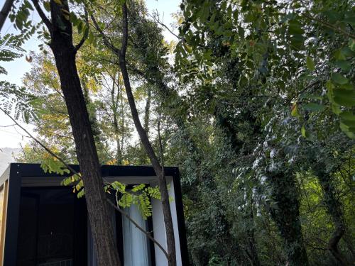 boutique hotels in Danilovgrad