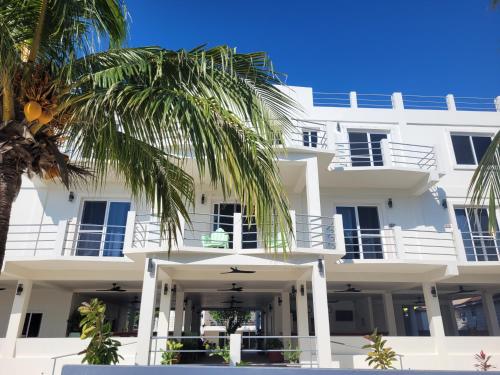 boutique hotels in Caye Caulker