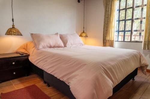 boutique hotels in Iza
