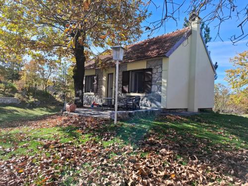boutique hotels in Podgorica County