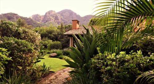 boutique hotels in Morelos