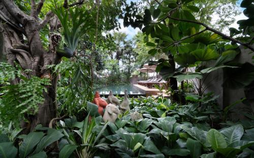 boutique hotels in Battambang