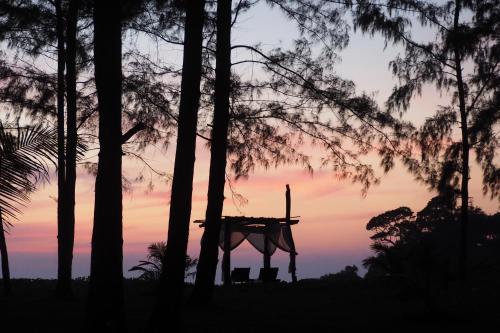 boutique hotels in Khao Sok