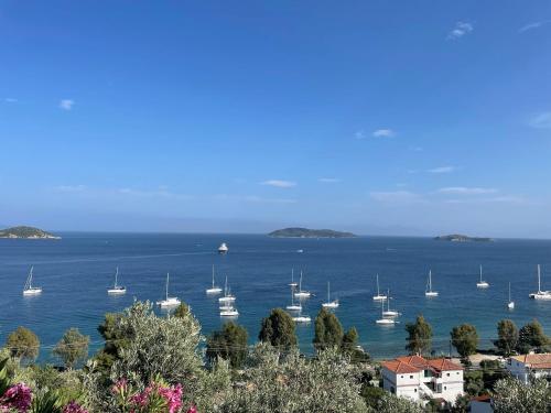 boutique hotels in Koukounaries