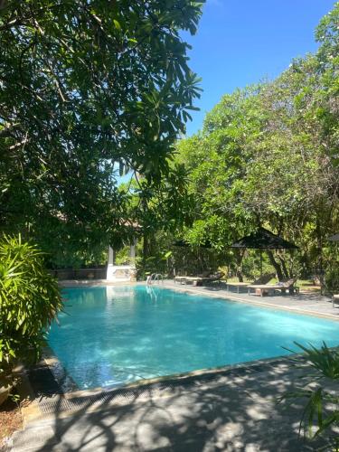 boutique hotels in Hikkaduwa
