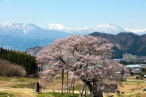 boutique hotels in Takayama