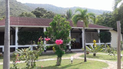 boutique hotels in Karimunjawa