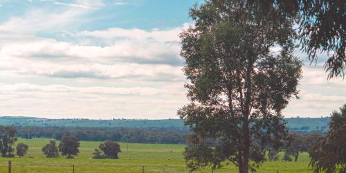 boutique hotels in Wagga Wagga