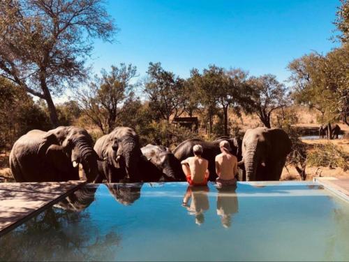 boutique hotels in Greater Kruger National Park
