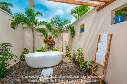 boutique hotels in Tamarindo