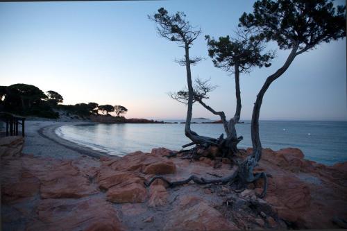 boutique hotels in South Corsica