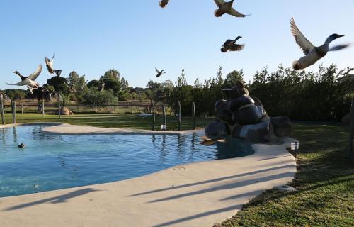 boutique hotels in Seville Province