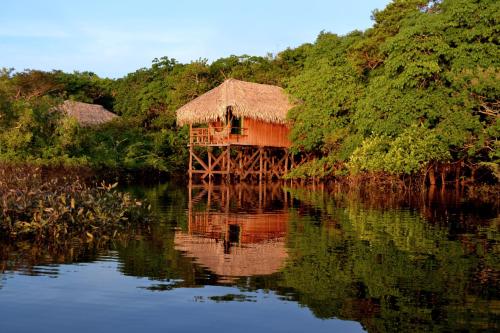 boutique hotels in Amazonas
