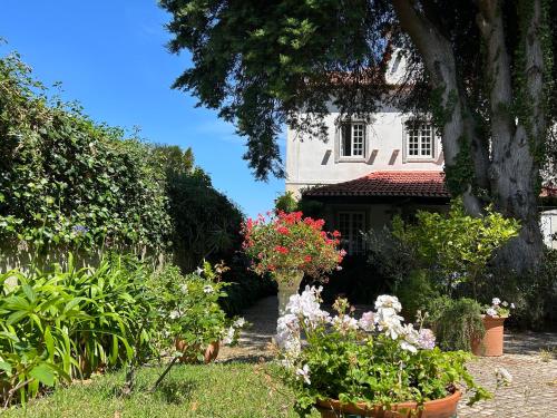 boutique hotels in Sintra-Cascais Natural Park