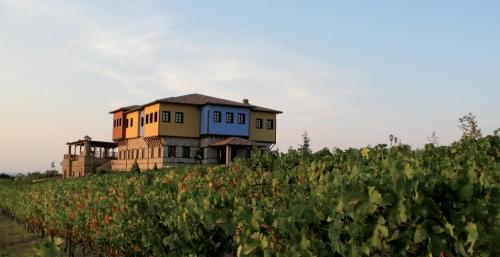 boutique hotels in Imathia Prefecture