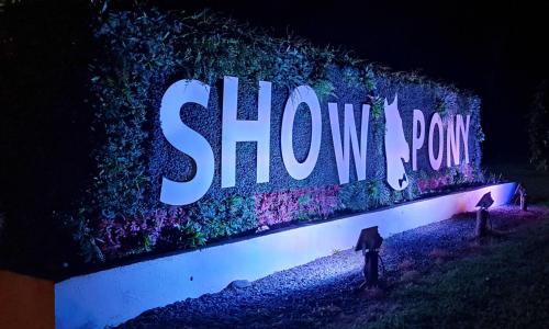boutique hotels in Chiriqui