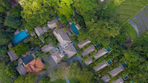 boutique hotels in Kerobokan