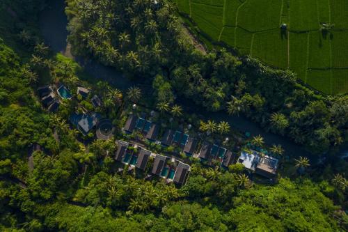 boutique hotels in Ubud