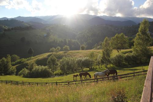 boutique hotels in Carpathians - Romania