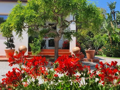 boutique hotels in Sardinia North