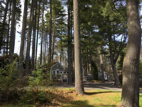 boutique hotels in Camden Snow Bowl