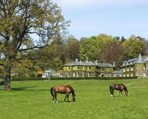 boutique hotels in Tayside