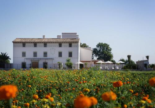 boutique hotels in Playa Pobla De Farnals