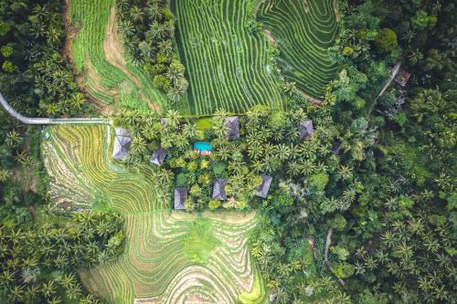 boutique hotels in Buleleng