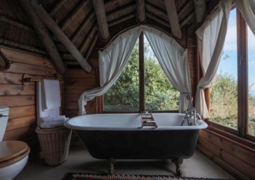 boutique hotels in Noordhoek